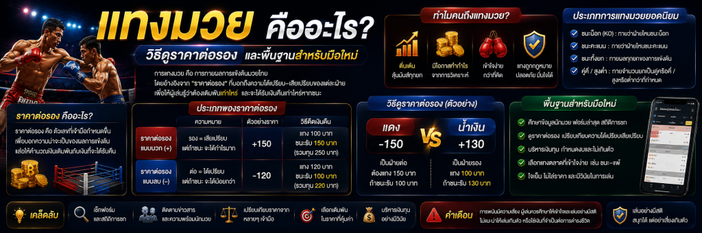 แทงมวย คืออะไร? วิธีดูราคาต่อรองและพื้นฐานสำหรับมือใหม่
